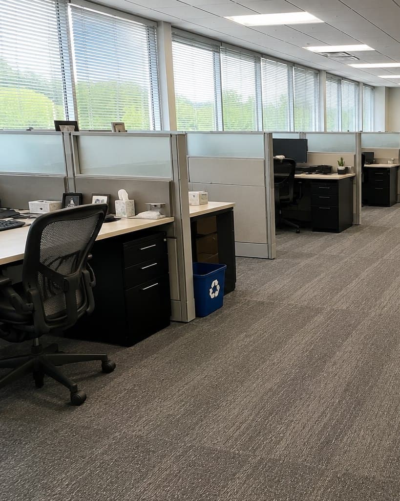 Modern office cubicles with freshly vacuumed carpet and tidy desks after a ShinySpaces commercial cleaning